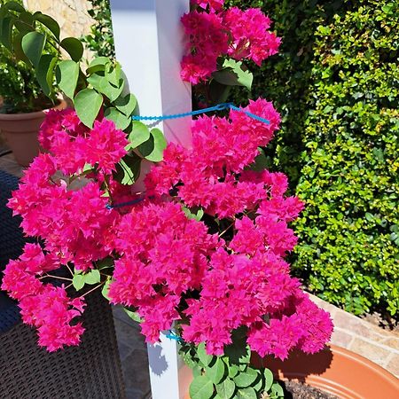 Villa Mariamar Albufeira Kültér fotó